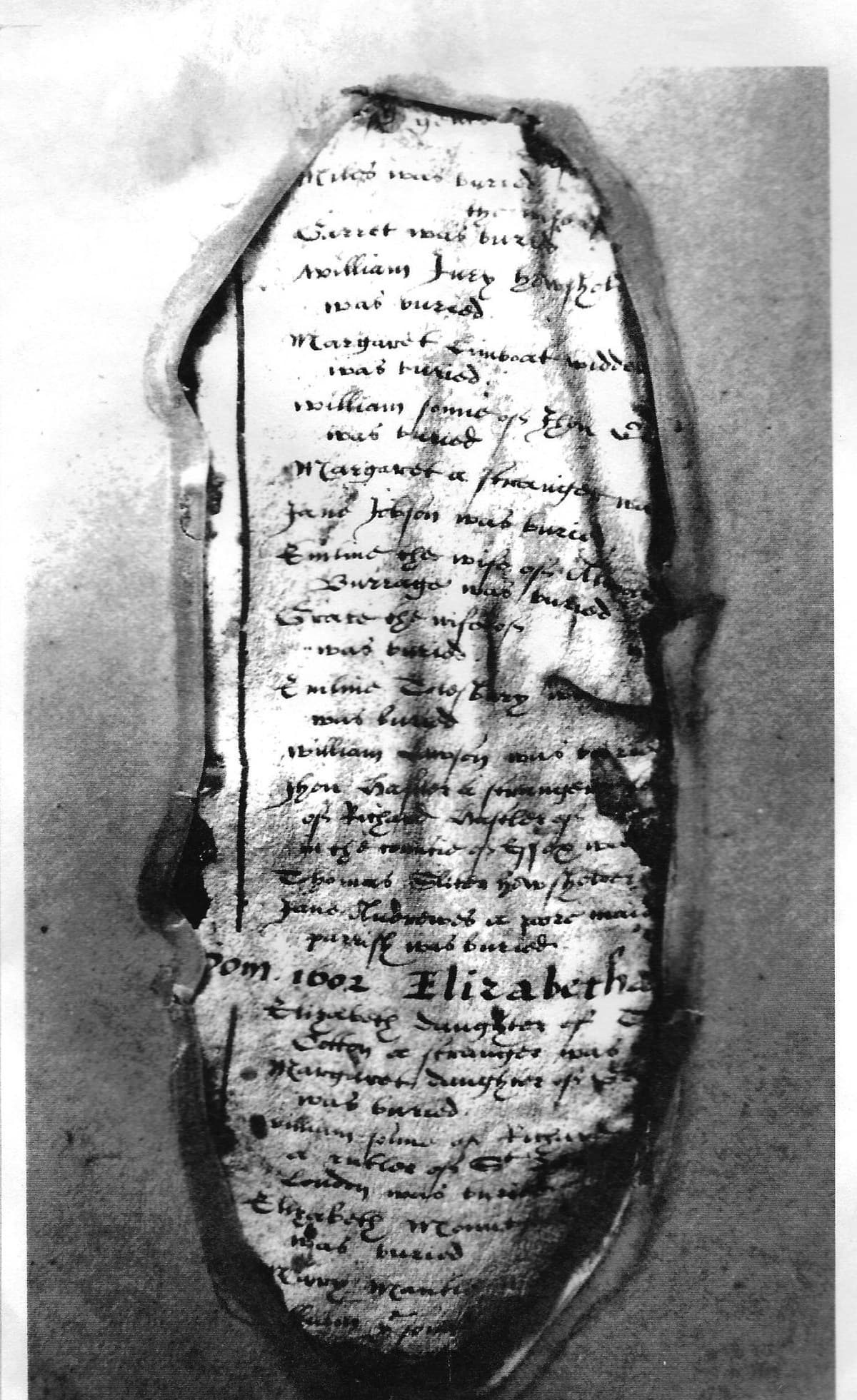 A photograph of a shrivelled, scorched fragment of parchment, its edges burnt away, with columns of Elizabethan handwriting still legible down the middle recording burials.